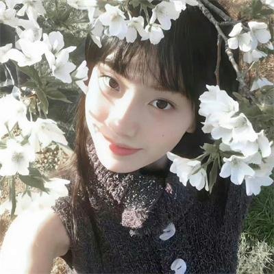 折翼蝴蝶